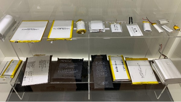 午夜成人无码回收：諾貝爾獎與午夜成人无码發展的淵源